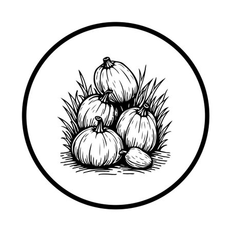 Black and white illustration of pumpkins and grass in a circular frame, symbolizing autumn harvest and the abundance of nature. A simple and elegant design, perfect for seasonal decorations.のイラスト素材