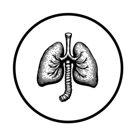 Detailed vector illustration of human lungs inside a circle, ideal for medical illustrations, educational content, or health-related designs showcasing respiratory anatomy.のイラスト素材