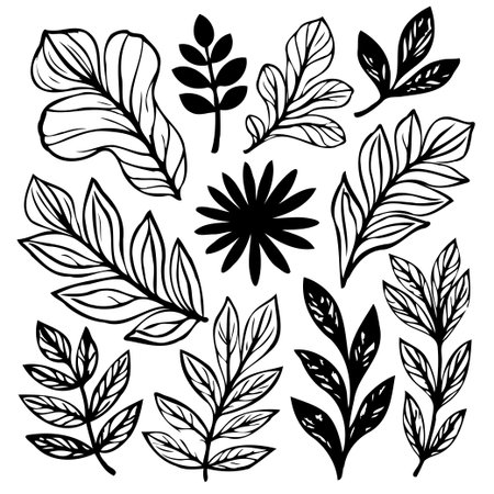 Hand-drawn botanical elements including leaves, branches, and floral illustrations. Features black outline on a white background, capturing a minimalist, organic, and stylish design aesthetic.のイラスト素材