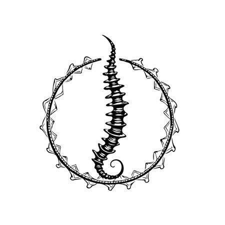 Elegant vintage seaweed illustration inside a decorative circle. Ideal for botanical, marine, and nature themed designs, adding a touch of old-world charm.のイラスト素材