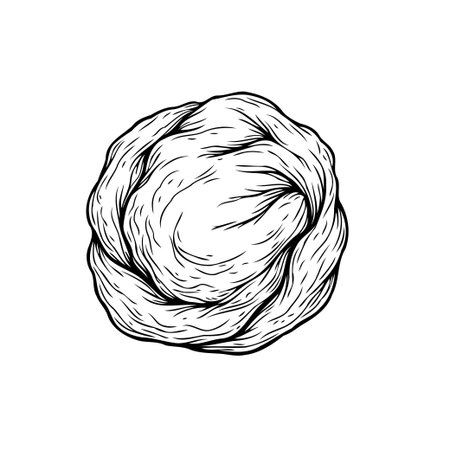 A monochromatic sketch captures an intricately tangled sphere of threads, showcasing depth, texture, and unique craftsmanship. This artwork adds organic touch and embodies complexityのイラスト素材