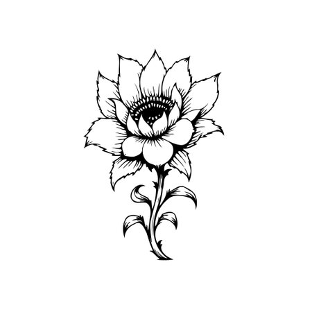 Elegant black and white flower illustration with intricate details. A timeless botanical design, perfect for adding a touch of nature to any project.のイラスト素材