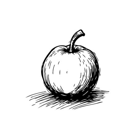 A hand-drawn, black and white sketch of a single ripe apple. The apple illustration emphasizes its organic nature, nutritional value, and freshness. It represents a healthy food choice perfect forのイラスト素材