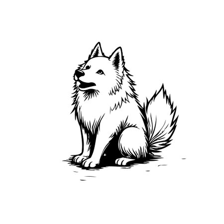 A striking monochrome illustration presents a fluffy spitz dog, captured in an endearing pose. With its gaze directed upwards, the artwork evokes feelings of innocence and curiousity. Rendered withのイラスト素材