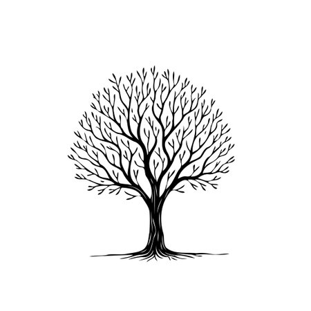 A minimalistic black and white silhouette illustration of a bare tree with intricate branching patterns. The isolated design creates a clean and elegant aesthetic. This artistic rendering capturesのイラスト素材