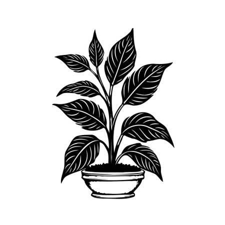A detailed monochrome illustration of a thriving plant in a decorative pot. The artwork highlights the leaf veins and intricate design, capturing the essence of nature with a minimalist touch,のイラスト素材