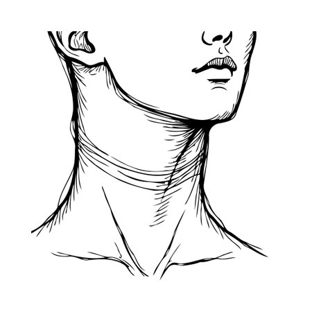 An artistic rendering showcases the human neck with graceful linework and anatomical correctness. The illustration emphasizes the subject's contours, portraying its delicate composition with careのイラスト素材
