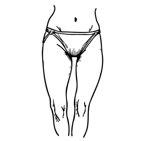 Detailed line drawing showing the female torso and legs, focusing on shape and form. This sketch-style artistic rendition captures the essence of the human figure, emphasizing anatomical lines andのイラスト素材