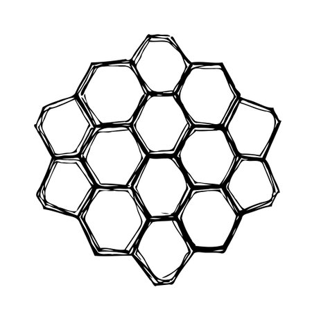 A hand-drawn illustration of an abstract honeycomb structure, showcasing interconnected hexagonal cells in a geometric pattern. The organic and irregular lines create a unique and minimalist designのイラスト素材