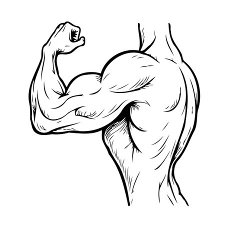 A stark monochrome illustration highlights the imposing strength of a muscular arm, its biceps flexed in a powerful display of fitness and robust health. The artwork evokes a sense of commitment toのイラスト素材