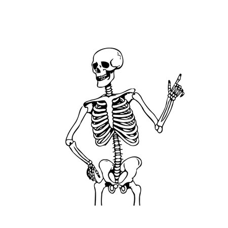 This captivating artwork portrays a skeleton in a humorous yet anatomical style, playfully pointing upwards. The monochrome drawing against the white background creates a stark contrast, emphasizingのイラスト素材