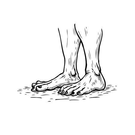 Artistic monochrome illustration presents a detailed sketch of human legs and feet, showcasing anatomical features like toes, veins, and tendons. The detailed line drawing conveys form and structureのイラスト素材