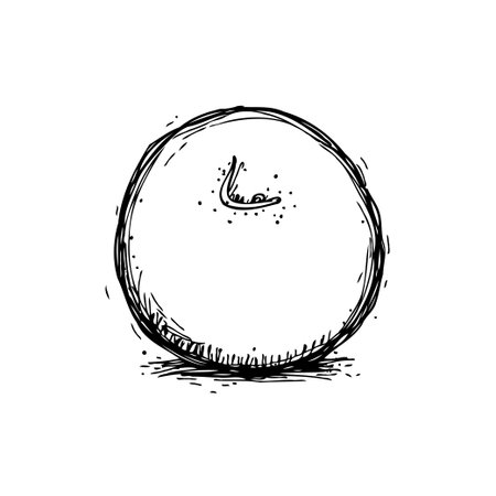 A charming hand-drawn sketch of a single orange, rendered in black and white. This minimal illustration captures the fruit's simple form and essence, highlighting its natural appeal and freshness.のイラスト素材