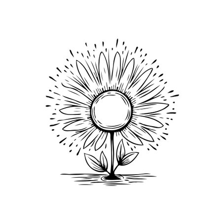 This striking monochrome illustration captures the essence of a blooming sunflower. The artistic drawing emphasizes the simple beauty and organic growth of this botanical marvel, making it perfectのイラスト素材