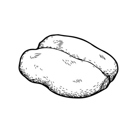 A minimalist monochrome etching presents a simple drawing of a nut. The image conveys a sense of botanical illustration with its textured surface. The simplicity focuses on the single edibleのイラスト素材