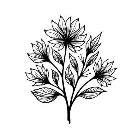 A meticulously crafted floral design features delicate line art, showcasing intricate blossoms and detailed foliage. This botanical illustration offers a touch of elegance, perfect for enhancingのイラスト素材