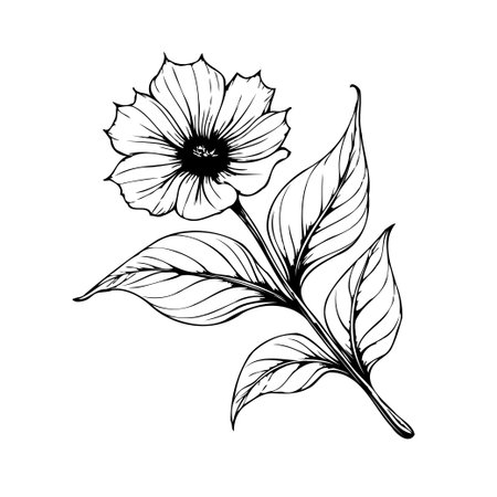A minimalist line art illustration of a flower with leaves presents an elegant botanical image. Its simplicity and organic lines create a peaceful aesthetic, ideal for various design applications,のイラスト素材