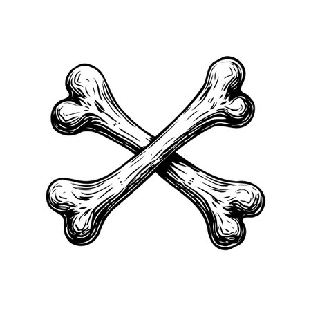 A detailed engraved monochrome depiction of crossed bones representing mortality or danger. This skeletal arrangement suggests anatomical studies pirate themes and various symbolic interpretationsのイラスト素材
