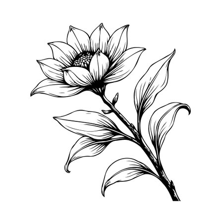 A captivating botanical illustration featuring a blossoming flower with gracefully arranged petals, connected to a slender stem adorned with delicate leaves. This artwork evokes a sense of naturalのイラスト素材