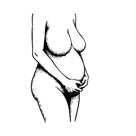 Elegant monochrome rendering of an expecting mother, emphasizing the contours and curves of pregnancy through delicate line work. The artwork celebrates the vitality of motherhood in a minimalistのイラスト素材