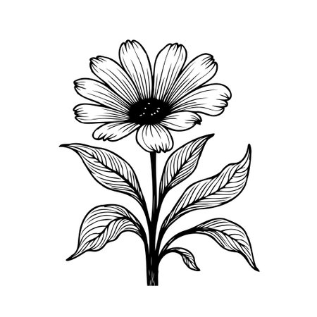 A meticulously crafted botanical illustration captures the essence of a blooming flower, showcasing the intricate details of its petals, stem, and leaves in a refined black and white design, perfectのイラスト素材