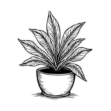 This captivating illustration portrays a potted plant, characterized by its intricate leaf patterns and clean lines. The black and white aesthetic enhances the natural elegance of this botanicalのイラスト素材