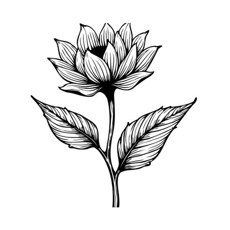 An exquisite botanical illustration showcasing a flower with meticulous line work, highlighting the beauty and elegance of nature. This detailed artwork captures the essence of floral design with aのイラスト素材