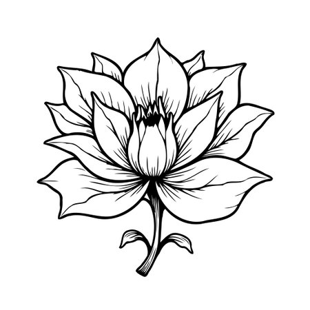 A detailed and elegant black and white illustration of a flower, perfect for adding a touch of nature-inspired beauty to any design project. The simplicity of the line art and the organic forms makeのイラスト素材
