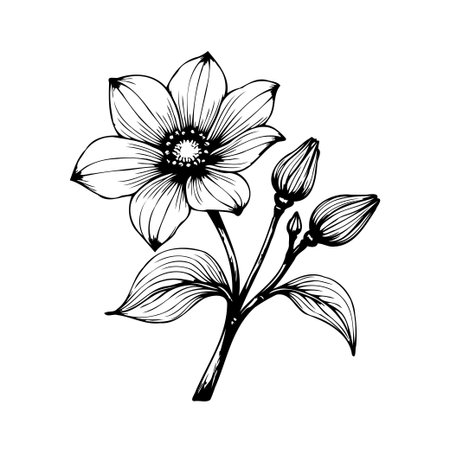 A simple yet elegant black and white illustration features a blooming flower alongside closed buds, showcasing the intricacies of nature's design. The intricate lines and delicate petals capture theのイラスト素材