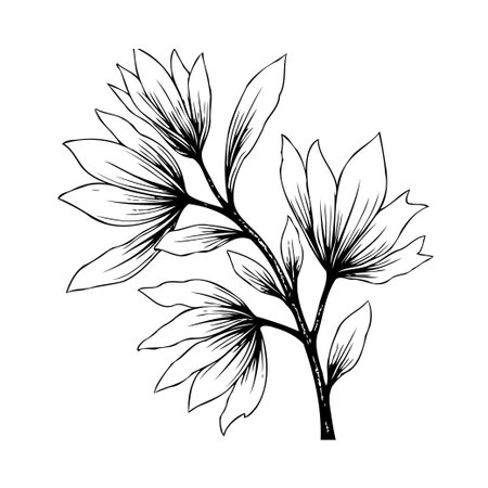 A detailed botanical illustration features a blossoming flower branch. The drawing showcases fine linework and a natural, elegant style. Perfect for designs that need a touch of simplicity, nature,のイラスト素材