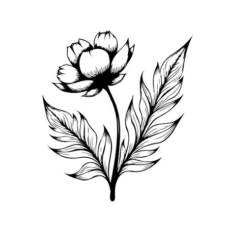 A stylish floral drawing features a single blossoming flower with several detailed leaves, presenting a minimalist aesthetic. Perfect for designs needing a touch of nature or sophistication with itsのイラスト素材