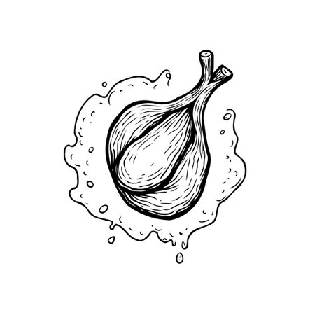 Detailed hand-drawn garlic bulb illustration accented with a subtle splash effect. This artwork provides a unique culinary graphic ingredient ideal for food design, menus, branding, and variousのイラスト素材
