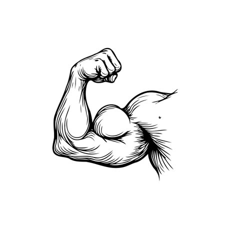 A graphic illustration highlighting the strength of a flexed bicep. Symbolizing fitness and physical power, the monochrome image features strong line work, showcasing muscularity, anatomical formのイラスト素材
