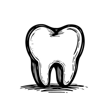 A hand-drawn style illustration of a tooth, showcasing its anatomical structure with a focus on dental care. The image emphasizes the importance of oral hygiene and the pursuit of healthy teeth,のイラスト素材