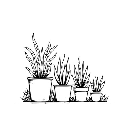 A monochromatic illustration depicting a collection of potted plants of varying sizes, arranged in a simple line. The minimalist style showcases the natural elegance of the plants, ideal for addingのイラスト素材