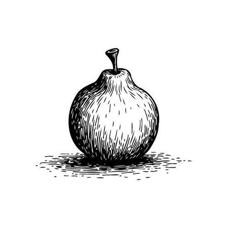 This image features a meticulously detailed sketch of a pear, emphasizing its natural simplicity and organic essence. The monochrome rendering highlights the pear's form and texture, suggestingのイラスト素材