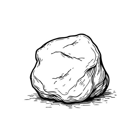 This black and white illustration presents a detailed view of a stone. The intricate line work and shading highlight the stone's texture and form, emphasizing its natural and geological qualities.のイラスト素材