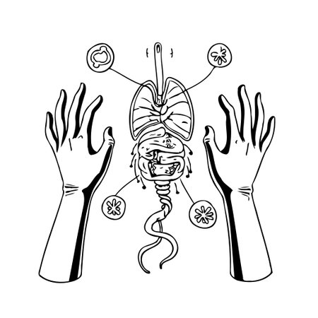 An artistic interpretation of the human respiratory system, featuring hands that seem to highlight and showcase vital organs. This evocative image represents the importance of breathing and theのイラスト素材
