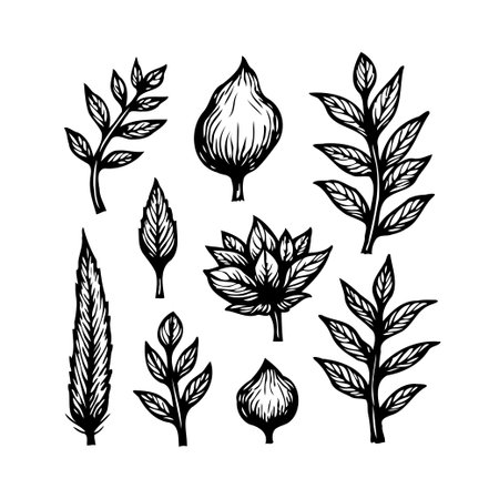 A collection of botanical illustrations featuring a variety of leaf shapes and branch structures. The drawings showcase the beauty of nature in a simple and elegant style, with a focus on organicのイラスト素材