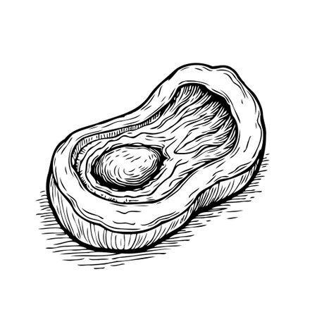An elegant monochrome artwork of a halved avocado is presented, the image displays meticulous internal detailing. Intricate linework and shading highlight its organic structure and naturalのイラスト素材