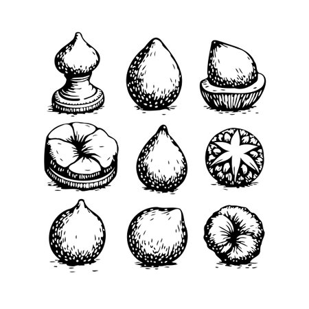A series of freehand sketched fruit rendered in monochrome demonstrates artistic botanical illustration. This highlights varied shapes and textures to convey the essence of fresh ripe produceのイラスト素材