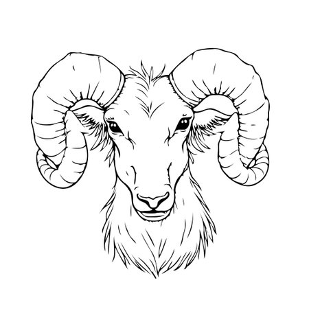 Striking monochrome artwork presenting the formidable ram's head through the use of distinct linework. Ideal for applications requiring artistic expression, embodying strength, and nature's beauty.のイラスト素材