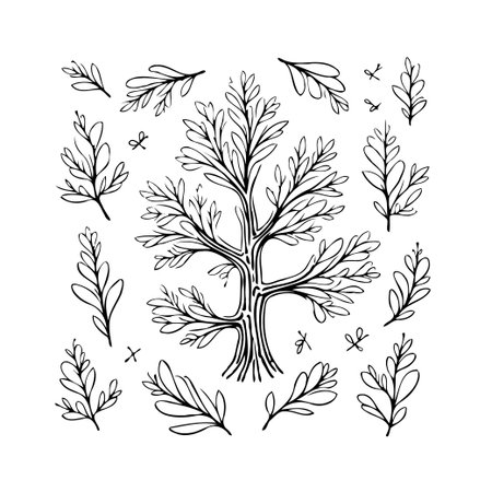 A delicate botanical illustration featuring stylized tree branches, leaves, and assorted sprigs. The design is rendered in a minimalist style, creating a visually appealing and versatile graphicのイラスト素材