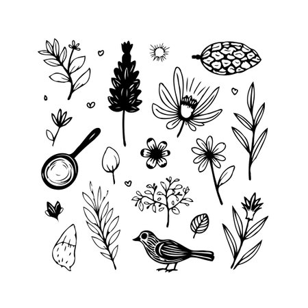 A collection of hand-drawn botanical illustrations presents a whimsical view of nature. Delicate floral elements, leaves, branches, and a small bird are composed in a simple, elegant style, invitingのイラスト素材