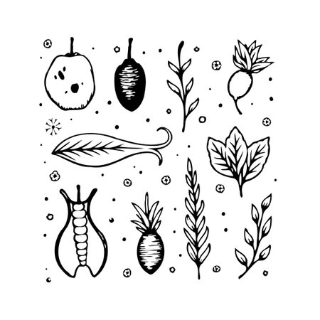A meticulously hand-drawn botanical set showcases an assortment of flora and plant elements. Delicately illustrated leaves, whimsical branches, and charming floral outlines create a versatile designのイラスト素材