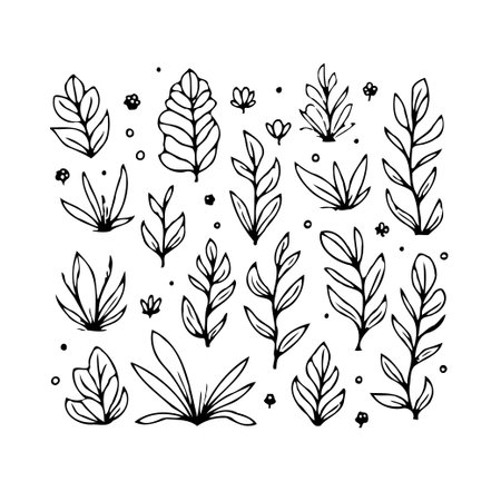 This exquisite botanical drawing showcases a variety of delicately rendered foliage and floral elements. Perfect for adding a touch of organic sophistication and minimalist elegance to any design orのイラスト素材
