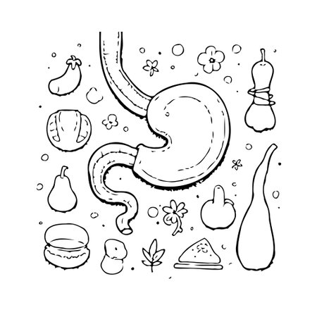 This stylized vector illustration features a whimsical human stomach at the center, surrounded by playful food doodles. This artwork can be used in medical illustrations, educational diagrams, andのイラスト素材