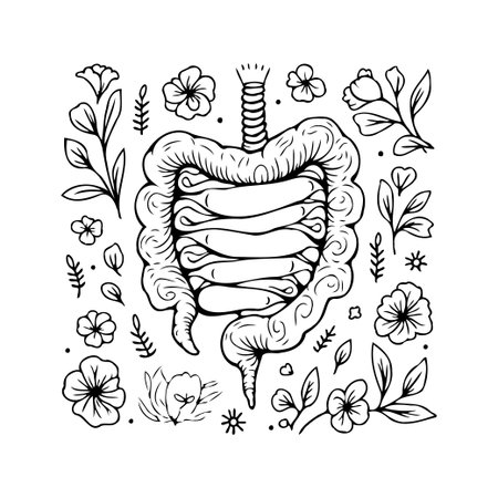Anatomical illustration featuring the human intestine surrounded by floral elements. Represents gut health, digestion, and the importance of a healthy microbiome in an artistic sketch style. Idealのイラスト素材