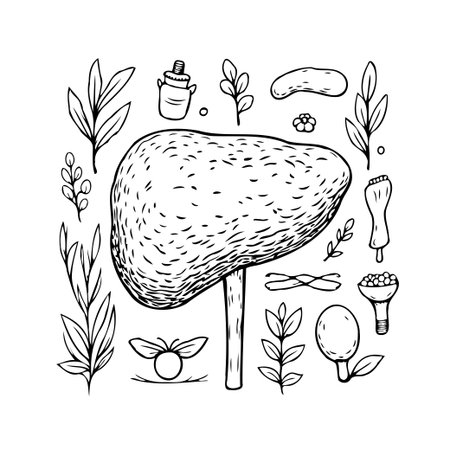 A whimsical hand-drawn illustration presents a stylized liver amidst an array of herbal remedies and botanical elements. Evoking themes of health, wellness, and natural medicine, the monochromaticのイラスト素材