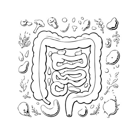 This image is a detailed, artistic illustration of the human colon, surrounded by natural elements such as mushrooms and leaves. The sketch emphasizes the intricate structure of the intestine withinのイラスト素材